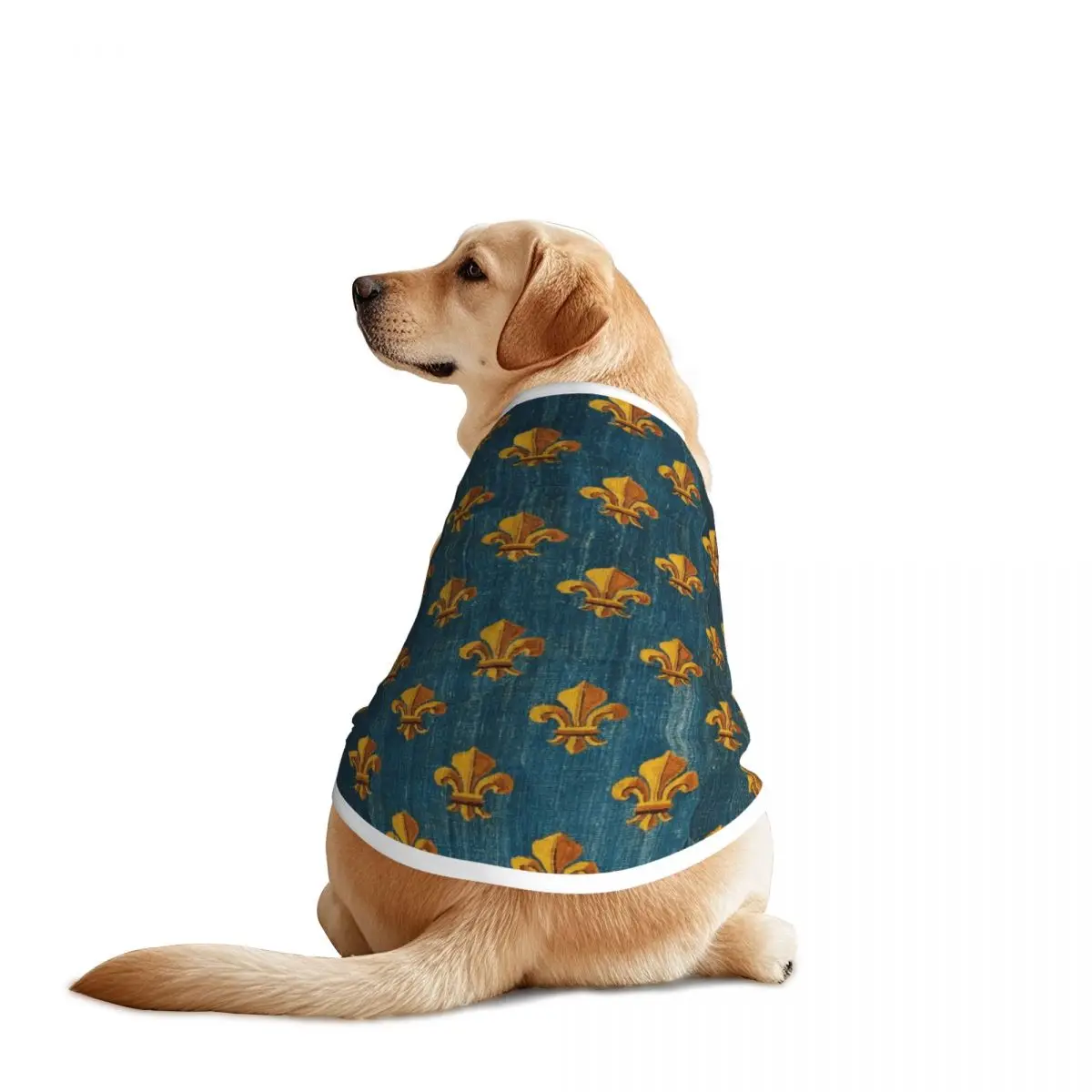 Chaleco dorado Fleur De Lys para mascotas, flor De lirio, chaqueta suave para cachorros, ropa De malla para mascotas, accesorios para perros