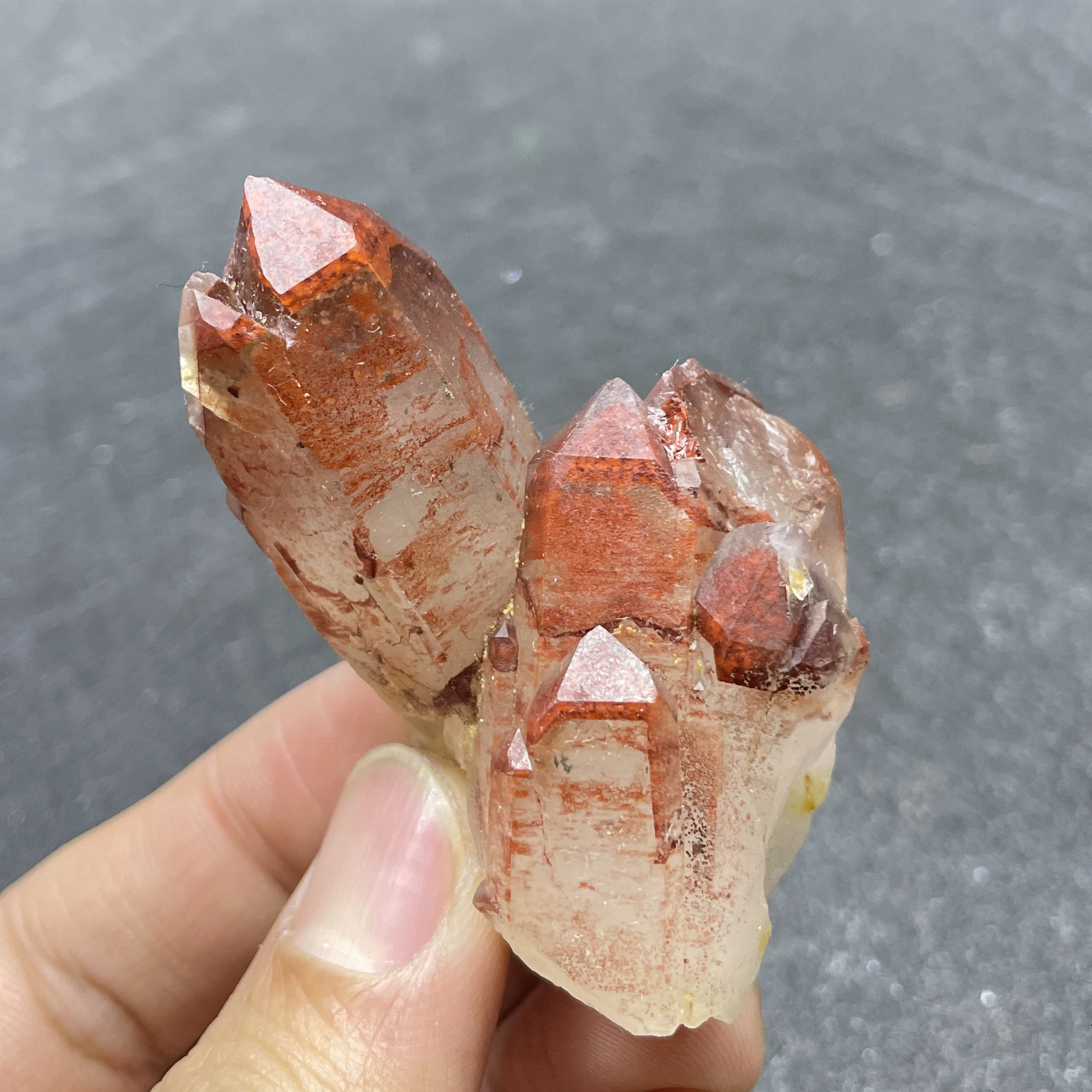 

59g Natural Stone Red Crystal Quartz Cluster Red Shadow Mountain Mineral Specimen Raw Rock Decoration Rough Polished Healing L14