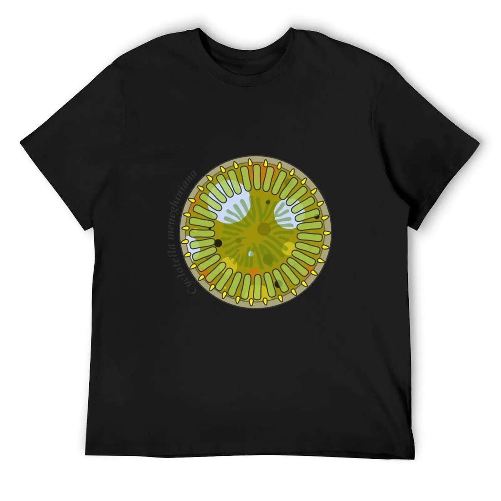 Diatom - Cyclotella meneghiniana (scientific) T-Shirt anime clothes graphics men clothes