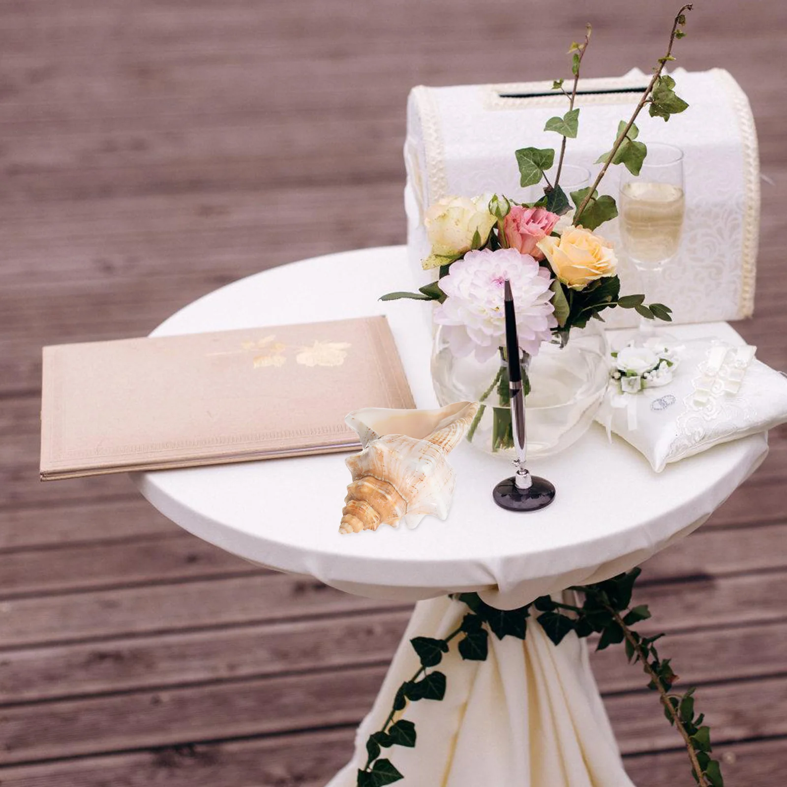 

Giant Conch Shell Striped Large Natural Beach Decor Aquarium Vase Filler Ocean Photo Props Wedding Party Display