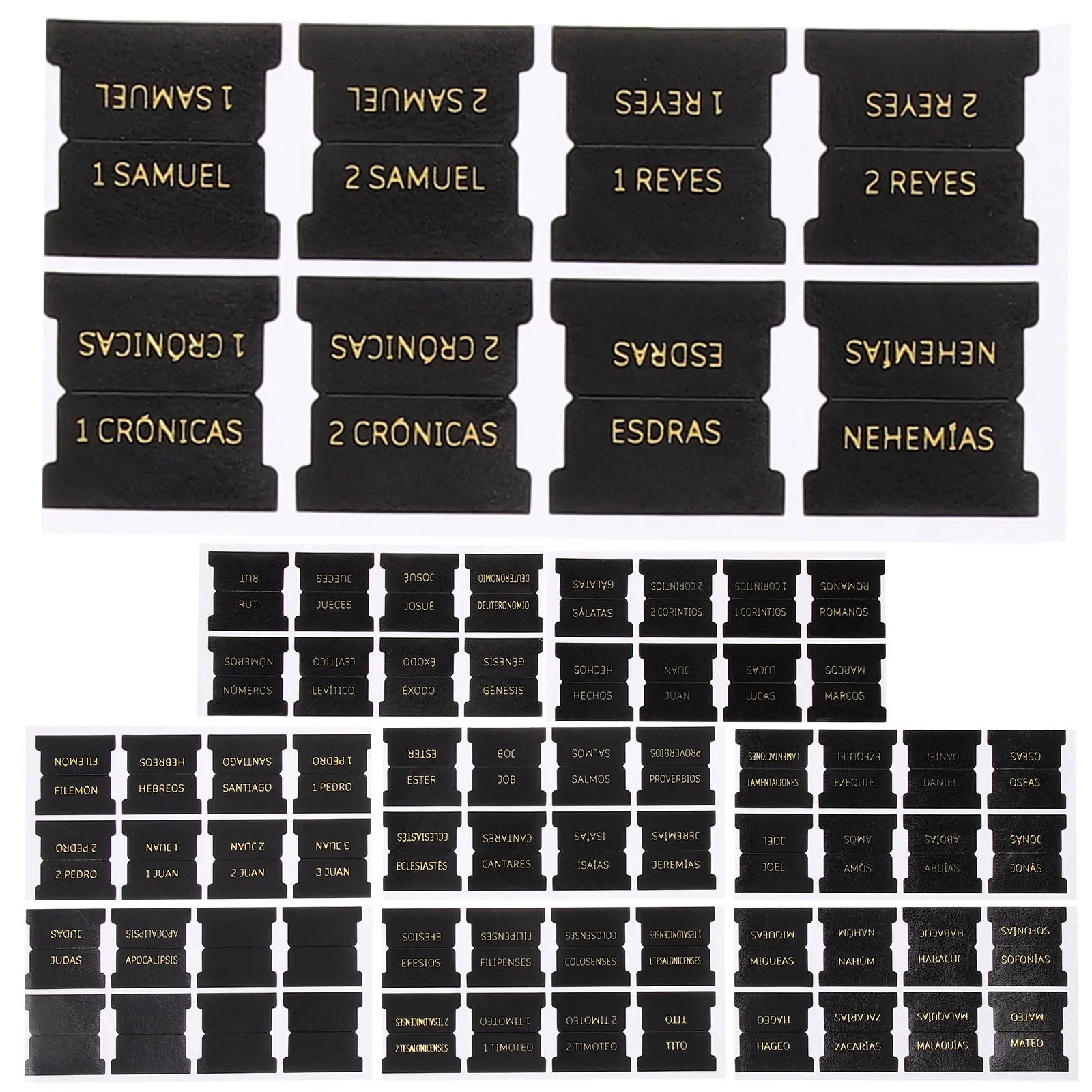 

blank bible study tabs blank bible tabs bible tabs for women bible tabs for men bible tabs for study bib