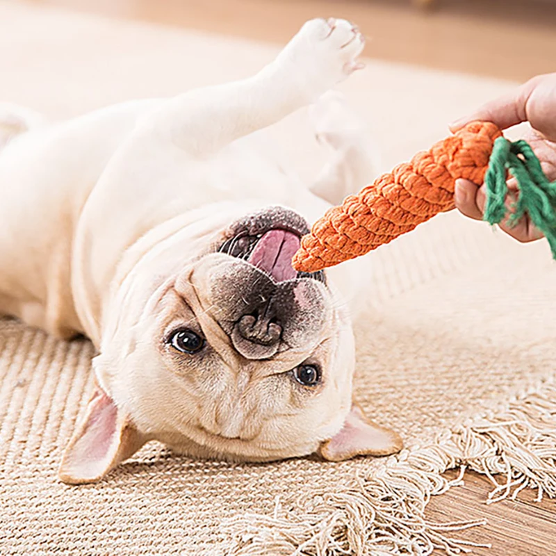 Puppys Chó Đồ Chơi Cắn Răng Teeths Răng Hàm Dính Gấu Corgi Bông Chó Nhỏ Đồ Cho Thú Cưng Chó Con Thảm Chơi Disengagement Ma Thuật Kết Hợp