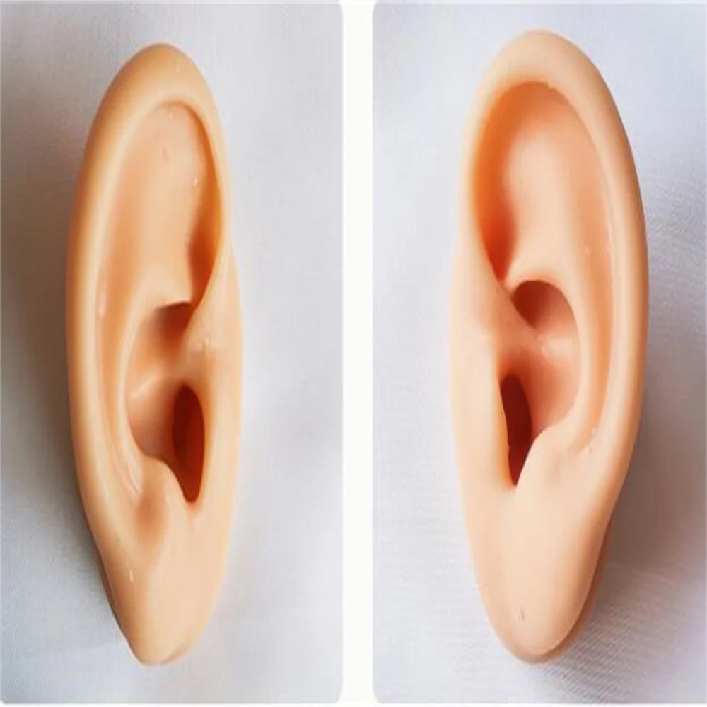 

Soft Silica Gel Real Person Ear Head, Mannequin Taking Headset, Medical Teaching Display Props, Coffee Color, C930, 6x4cm