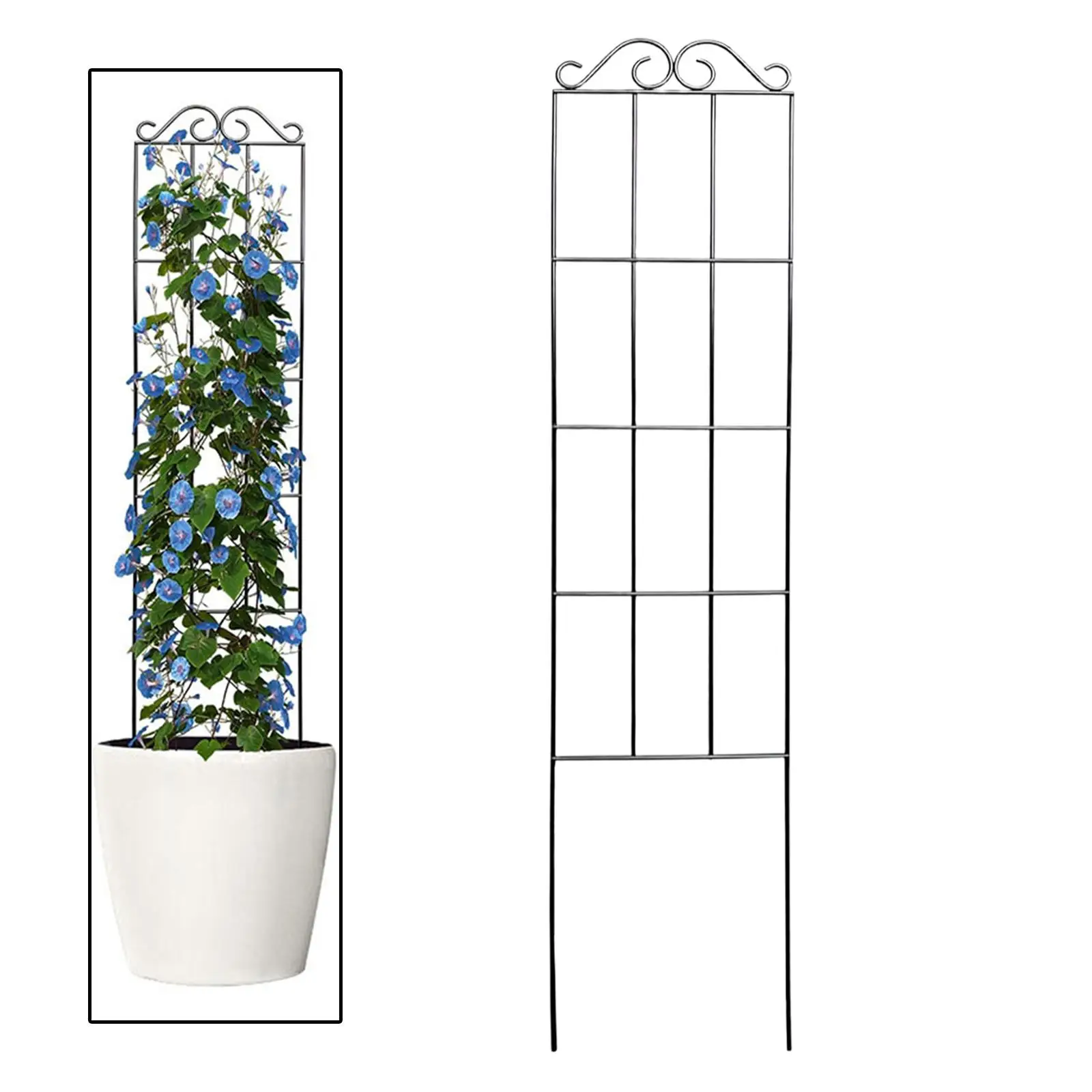 つる植物用ガーデントレリスフラワースタンド、防錆、ガーデンオベリスク、屋外クレマチス果物キュウリ用つるサポート