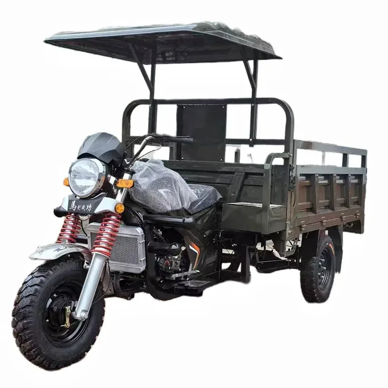 High Quality Big Cargo Tricycle 3 Wheels Tricycle Trike for Cargo Delivery