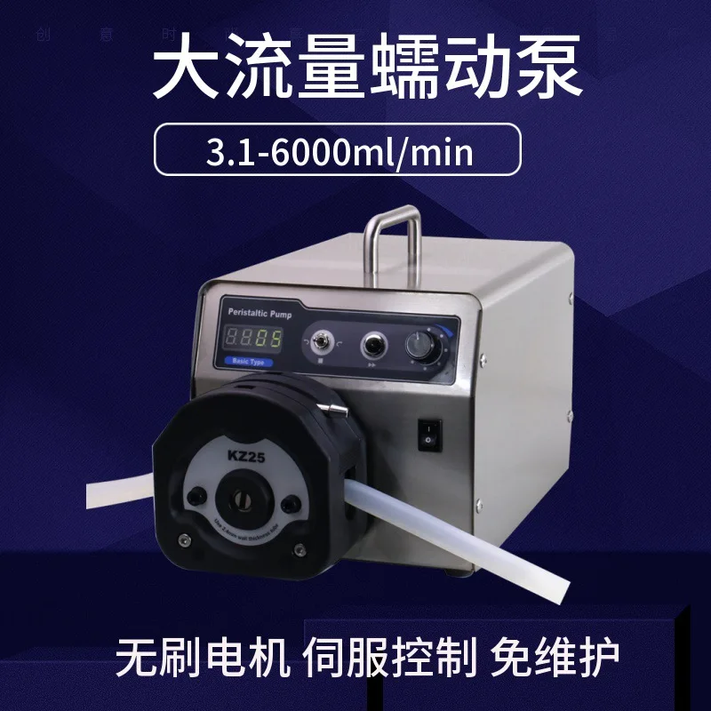 Peristaltic pump WT600-2J + KZ25 chemical pharmaceutical speed regulation type high precision multi-channel corrosion resistance