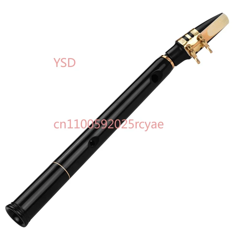 Key Mini Pocket Saxophone Sax ABS Material with Mouthpieces 10pcs Reeds Carrying Bag Woodwind Instrument