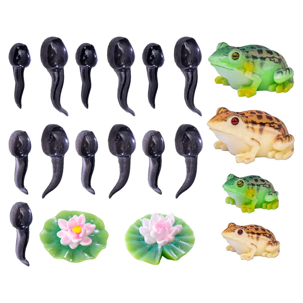 Tadpoles Micro Landscape Frog Baby Toys Outdoor Mini Resin Figurines Toddler Decor