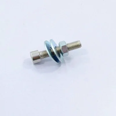 Screw Bolt