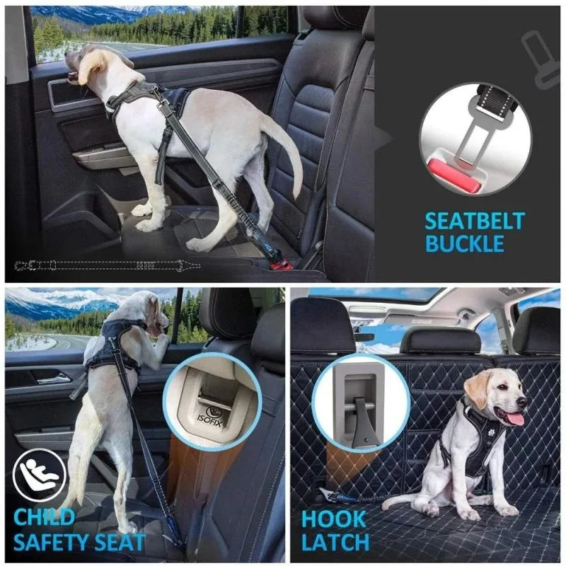Thumbnail 3 - #45 Latest Reflective Dog Leash Offers