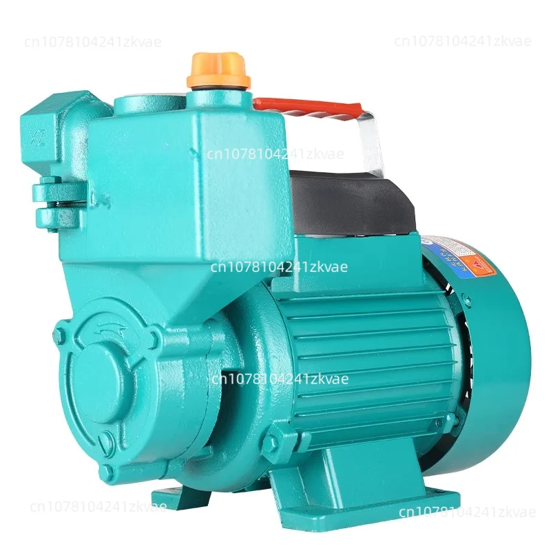 Air Cooled Water 220V 125W 250W Pump Booster Home Cast Iron Automatic Water Pipe Tap Self-priming Pump for Hot and Cold Water