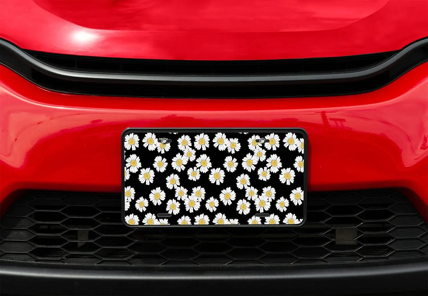 Daisy Flowers Novelty Metal Vanity License Tag Plate 6X12 Inch License Plate Cover for Women Lisence Plate Frame for Car Front