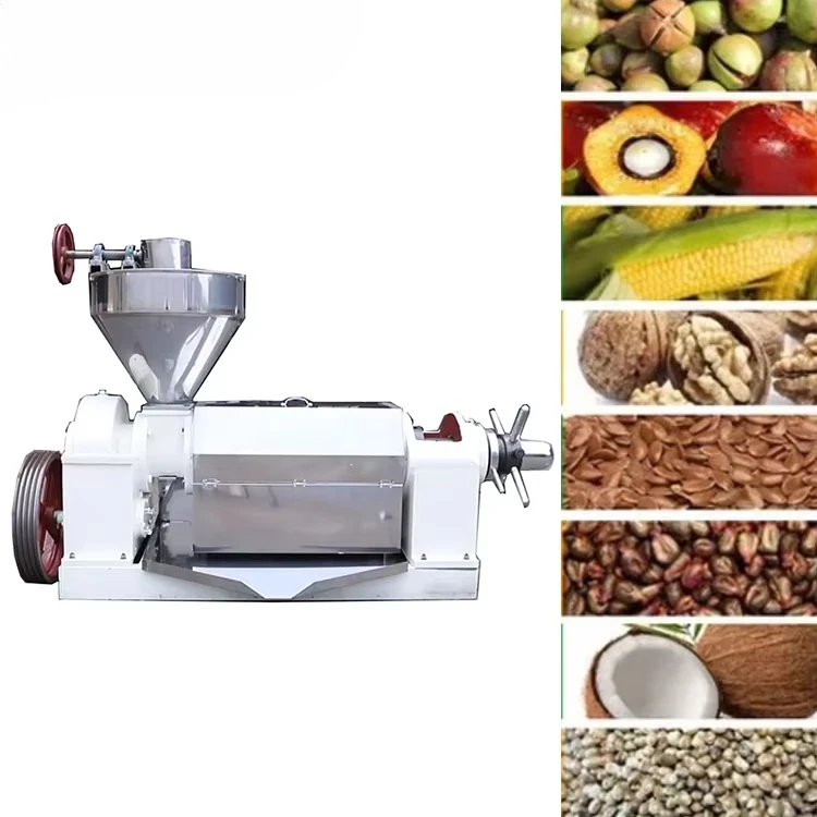 Different Production Rates Peanut Sesame Rape Seed Small Oil Presser Press Machine,press Oil Almond Oil Cold Pressed