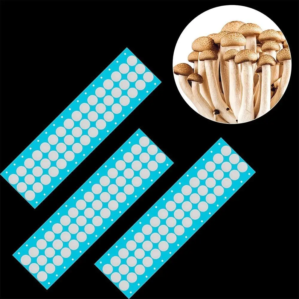48pcs Waterproof 20mm Filter Paper Sticker EPTFE Material 20mm Membrane 20mm Hydrophobic Breathable Membrane Breathable