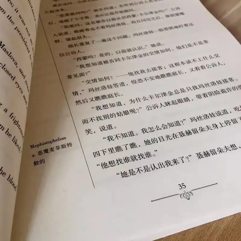 Ressurreição Livros em Chinês e Inglês, Literatura Clássica Mundial e Romances Tolstoy Obras