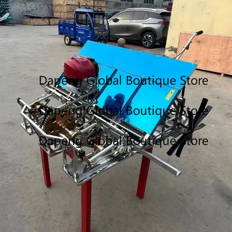 Manual Walking Rice Seedling Planter 4 6 Rows Farm Paddy Seedling Planting Equipment