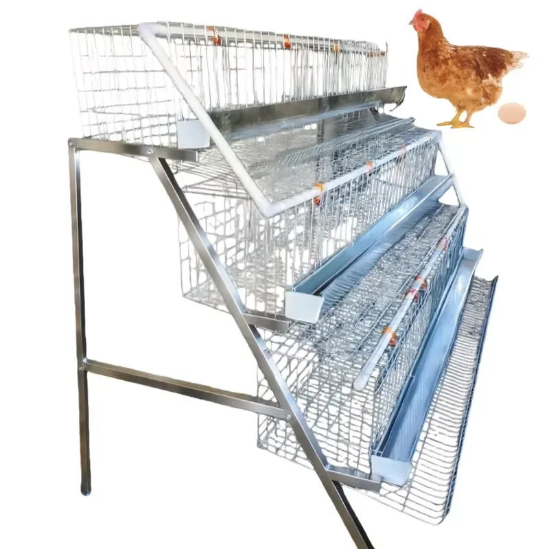 Industrial Chicken Breeding Cages Galvanized Brooder and Layer Housing for Commercial Poultry Farm
