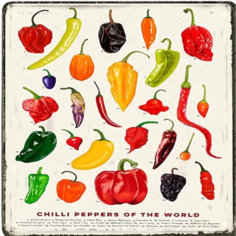 Metal Vintage Tin Sign Decor Chilli Peppers of The World Chilli Peppers Guide,Chili Art, Hot Chilli Poster,Food Art Metal sign