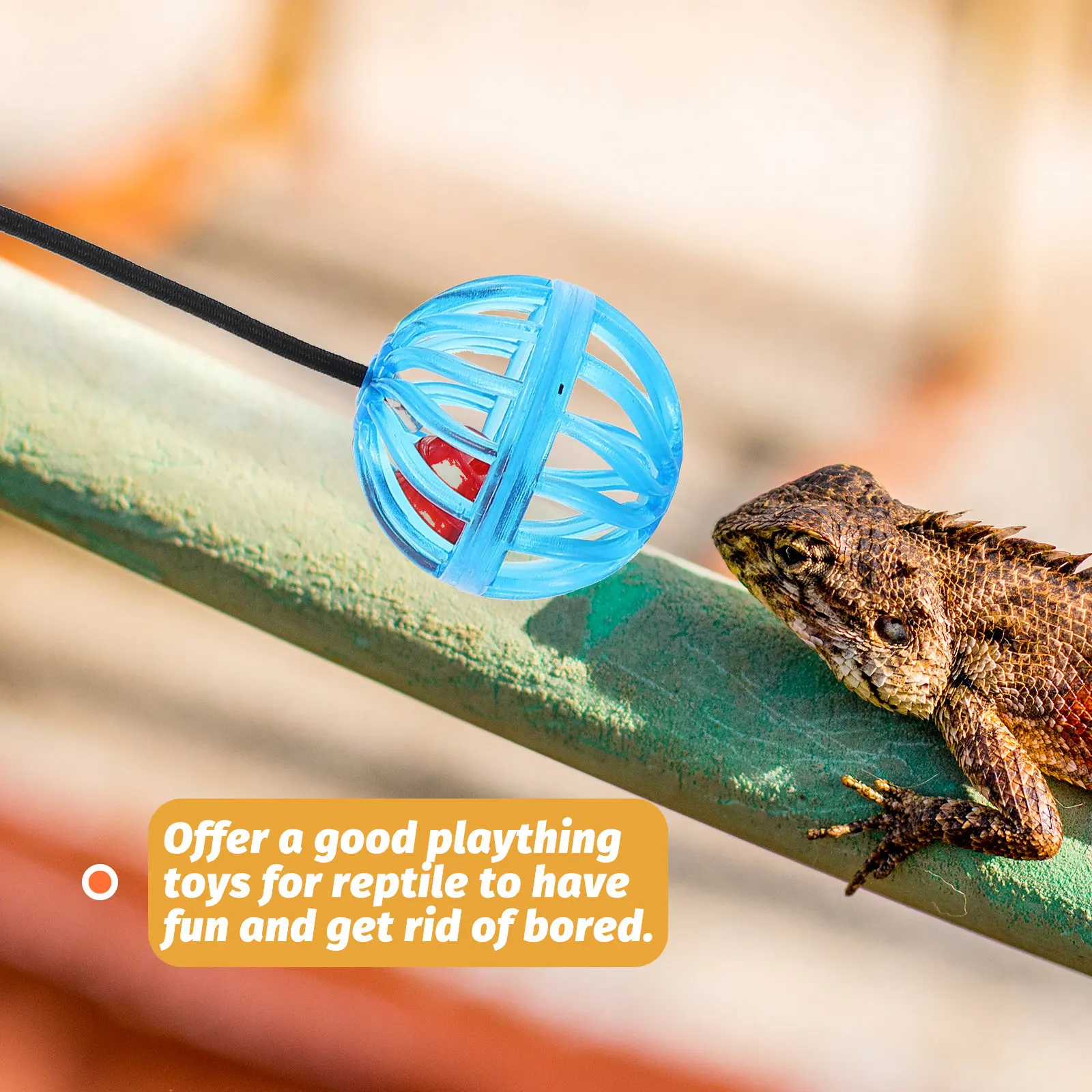 

Набор из 7 компактных шариков-колокольчиков для рептилий: для бородатых агам, ящериц, гекконов. Подвесные, для жевания, снятия скуки, с креплением на присоске, декоративные.