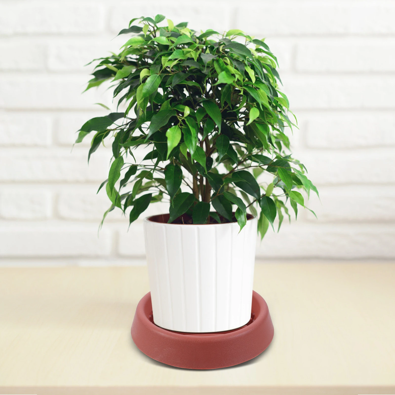 

4pcs Flowerpot Trays Water Pans Durable Anti-Slip Anti-Sun Flower Holders Gardening Trays Plant Pot Plates Succulent Pot Dishes
