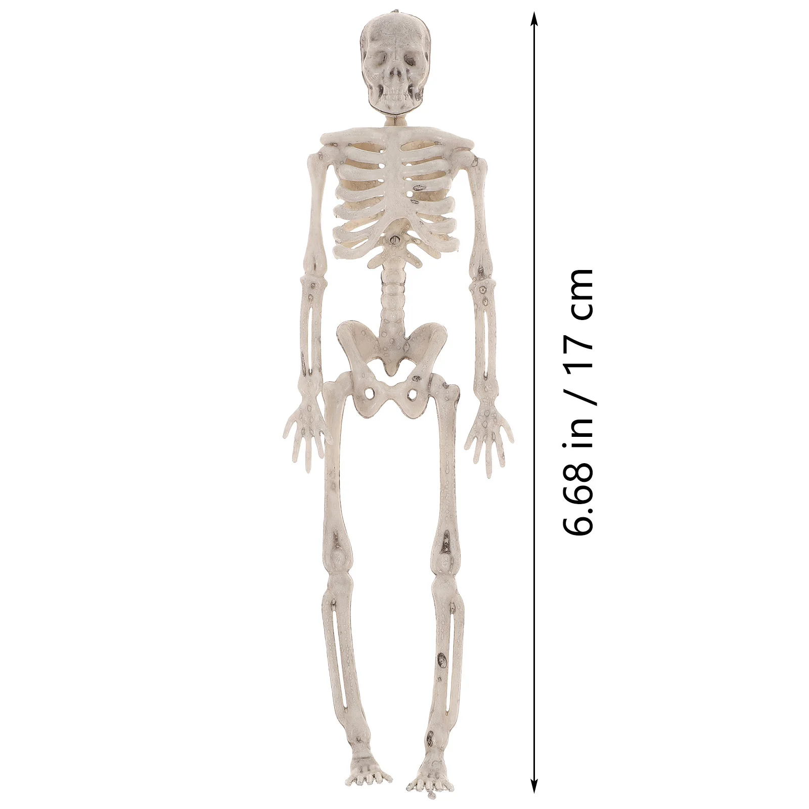 

6Pcs Halloween Prop Models Small Plastic Human Bone Decoration for Party Haunted House Scene