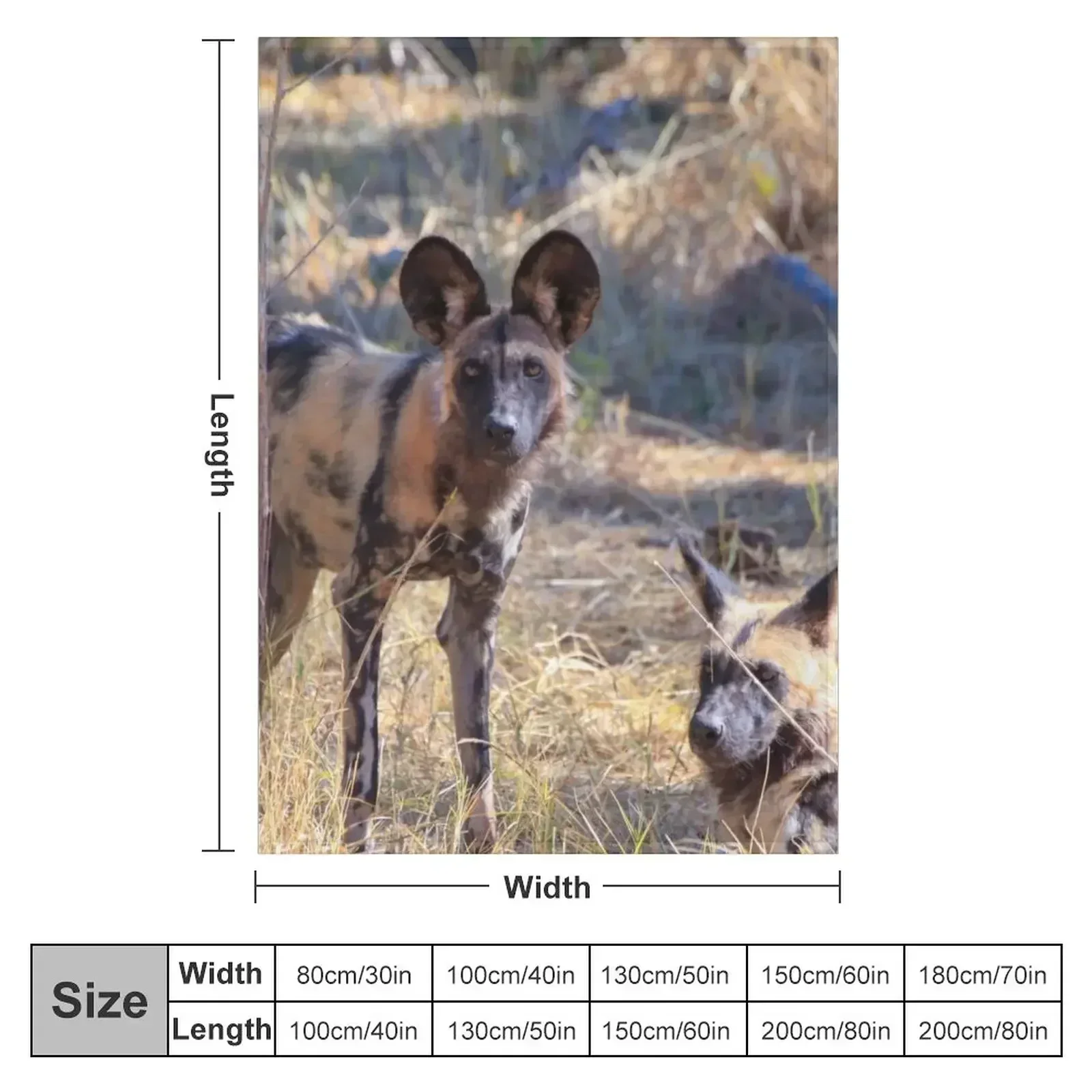 Two African wild dogs in Moremi Game Reserve, Botswana Throw Blanket Luxury Throw Sofa Quilt Blankets