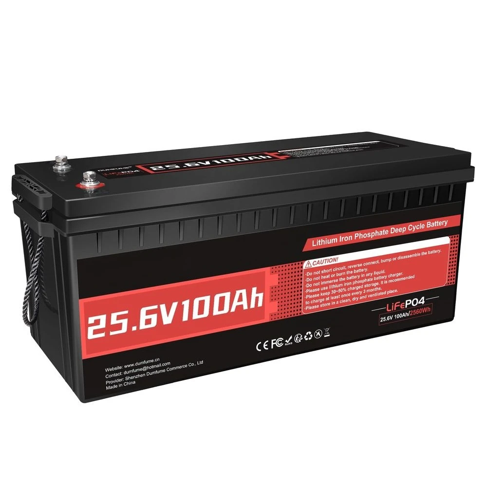 

24V 100Ah LiFePO4 Battery, Builtin 100A BMS 24V Lithium Battery, Low Temperature Protection,2560W Power Output, Up to 15000