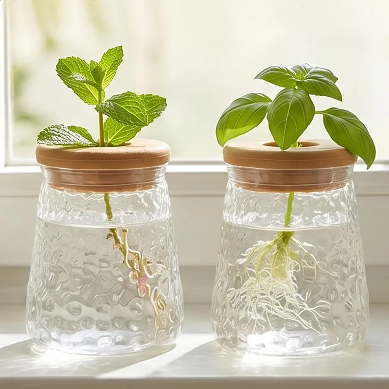 Transparent Hydroponic Plant Vase with Wooden Lid Imitation Glass Desktop Planter Soilless Growing for Decor Visible Root Growth