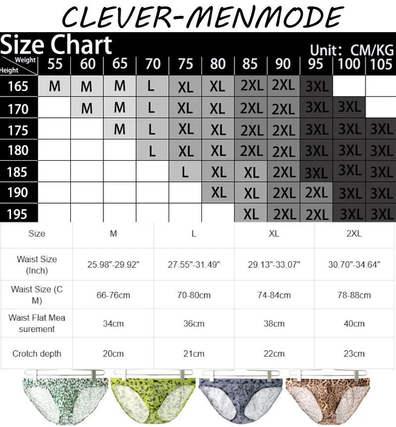 CLEVER-MENMODE Men's Sexy Briefs Sheer Mesh Ultra-Thin Men's Lingerie Gay Sissy Bikinian Panties