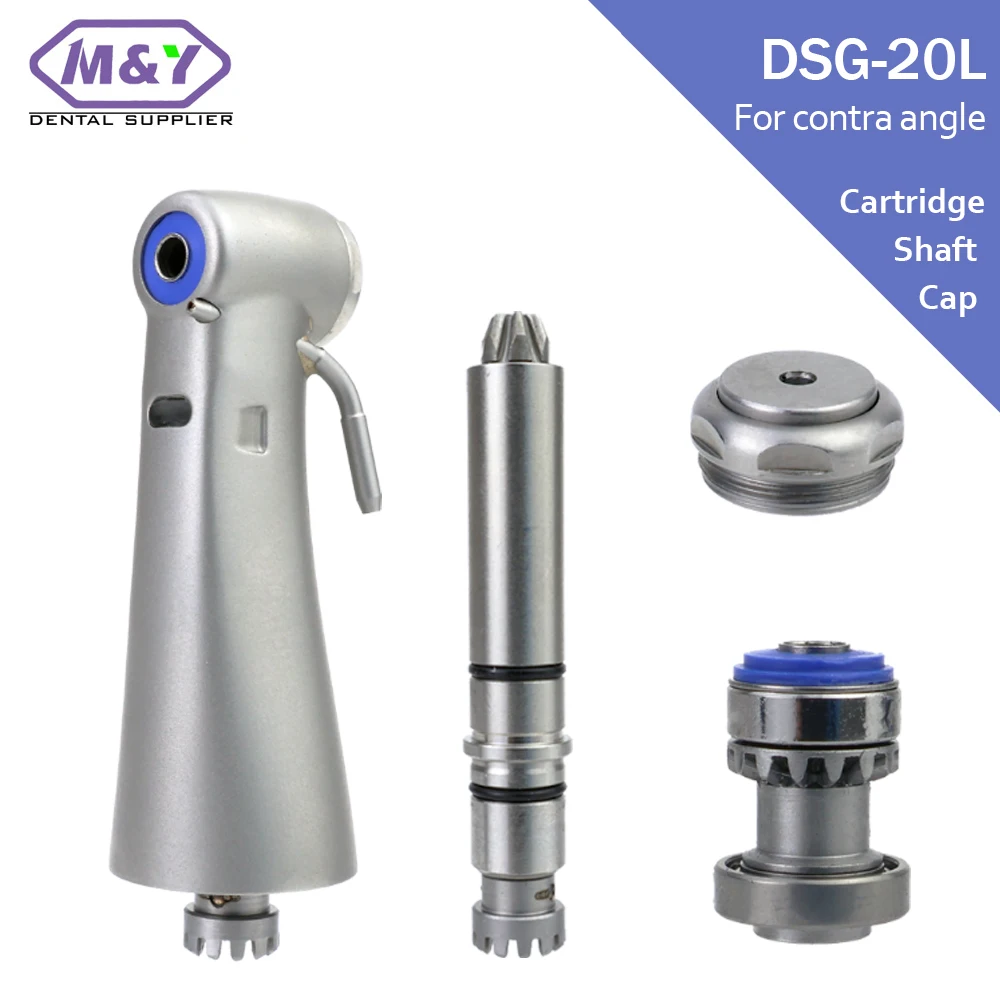 Dental Implant Cont…