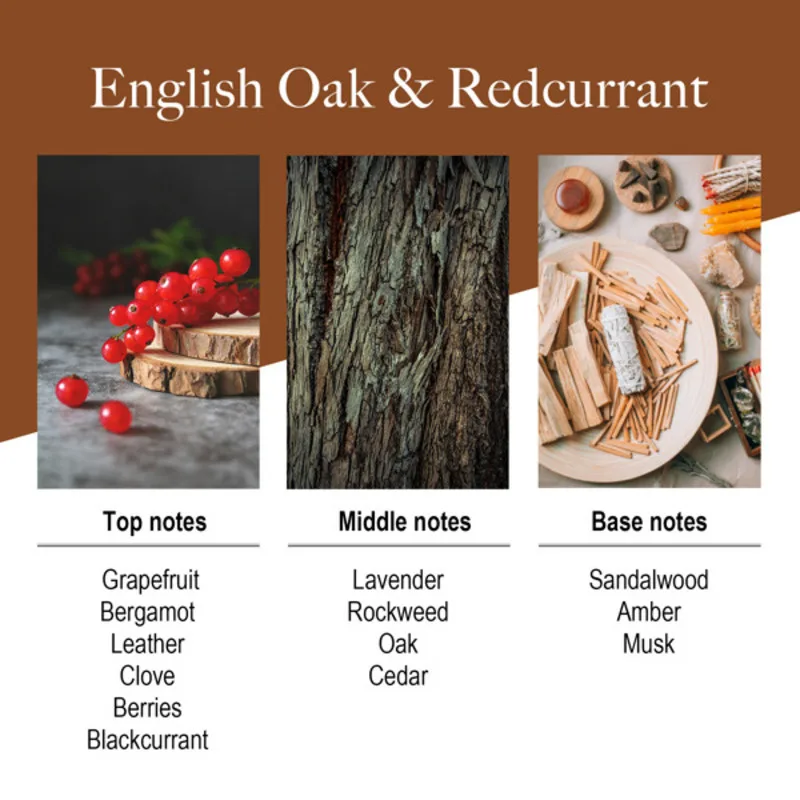 Wood Fragrance Reed Diff user Set 6.7 oz Oil Diff user Sticks Ensure 90 Days  Scent Serene Bed room Atmosphere attractive Aromas
