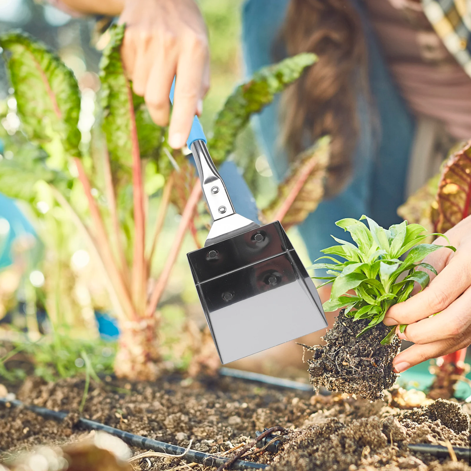 

Stainless Steel Gardening Shovel Rustproof Portable Soil Scoop Garden Bonsai Planting Kids Friendly Multi-purpose Trowel Small