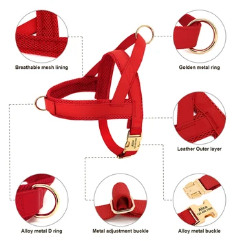 Personalized Leather Dog Set 2