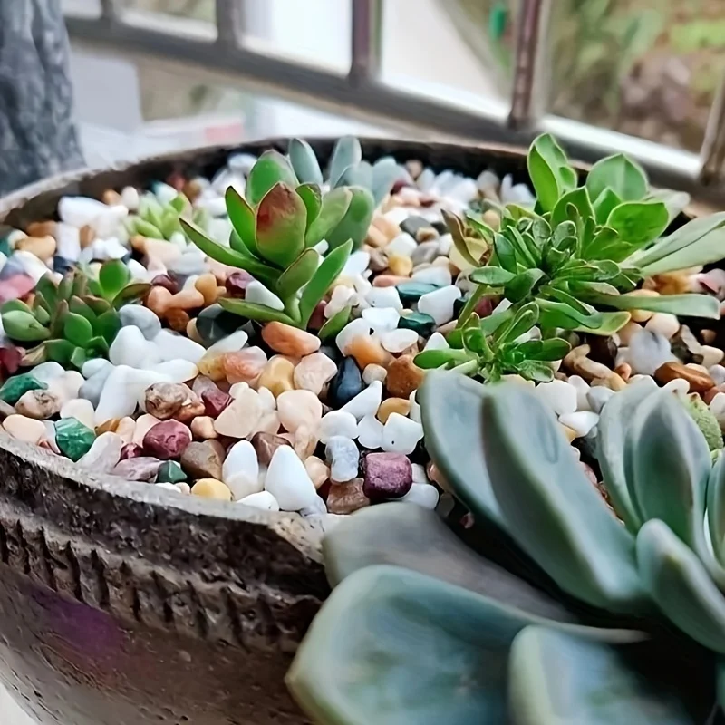 حجر كريستال ملون لصنع المجوهرات ، بلورات الهالة ، رقائق الكوارتز البيضاء الشافية ، زجاجات التمني ، ديكور حوض الأسماك ، 5-9