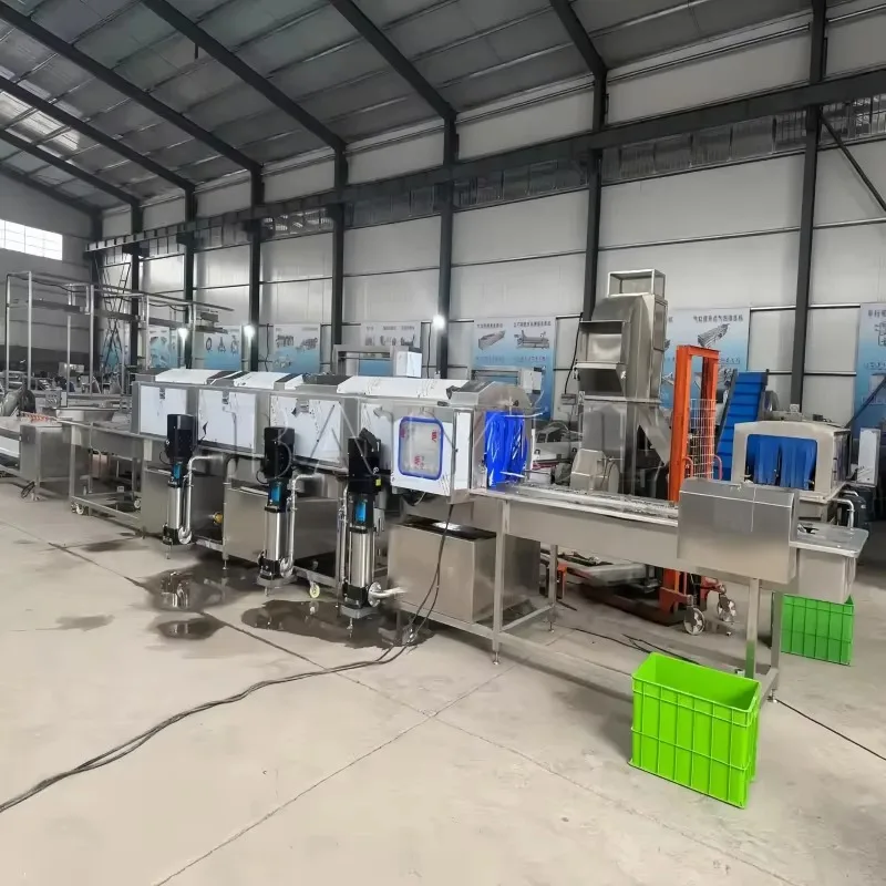 Custom High-Pressure Crate Washer Equipment