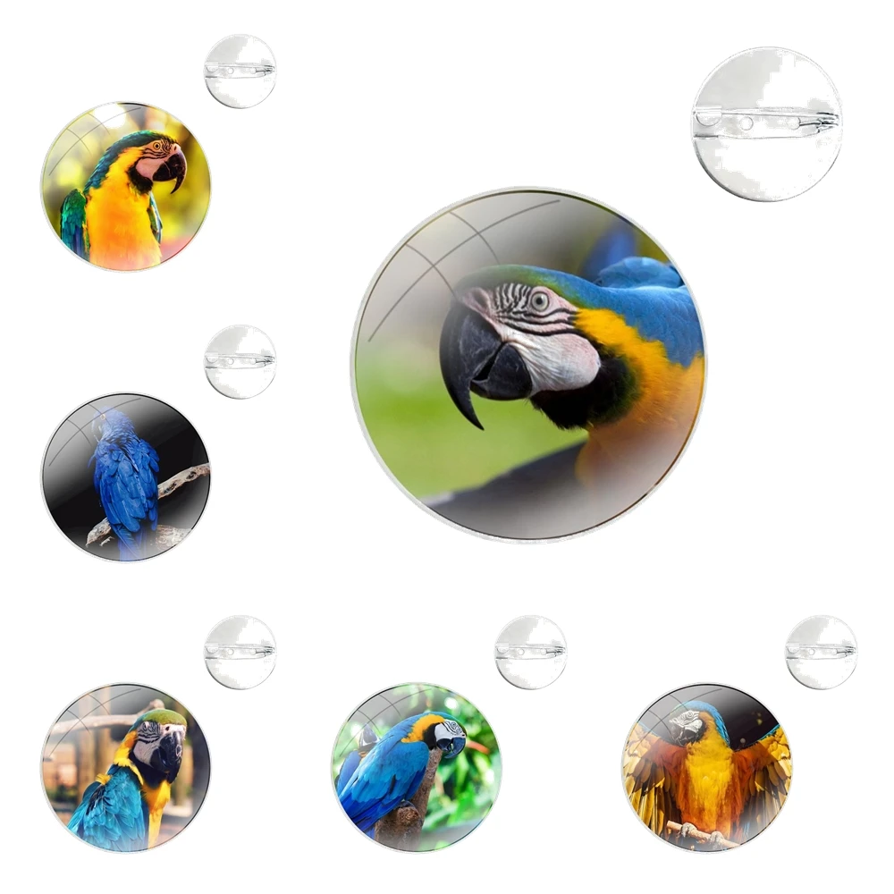 Funny Parrot Blue Color Glass Dome Brooches Badge Pins For Clothes Hat Shirt Lapel Bag