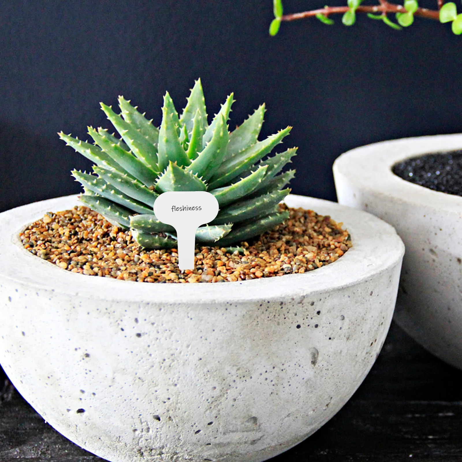 

100pcs Plant Labels Garden Label Stakes Premium Plastic Sturdy Plant Tags For Seedlings Outdoor Garden Decoration