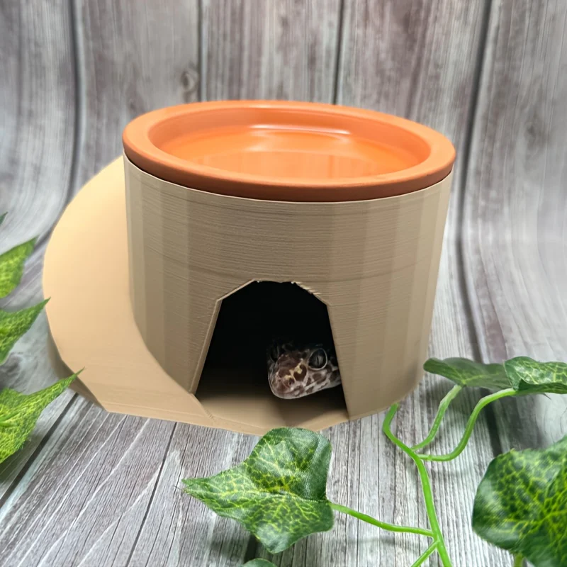 Amphibian Decorativ…