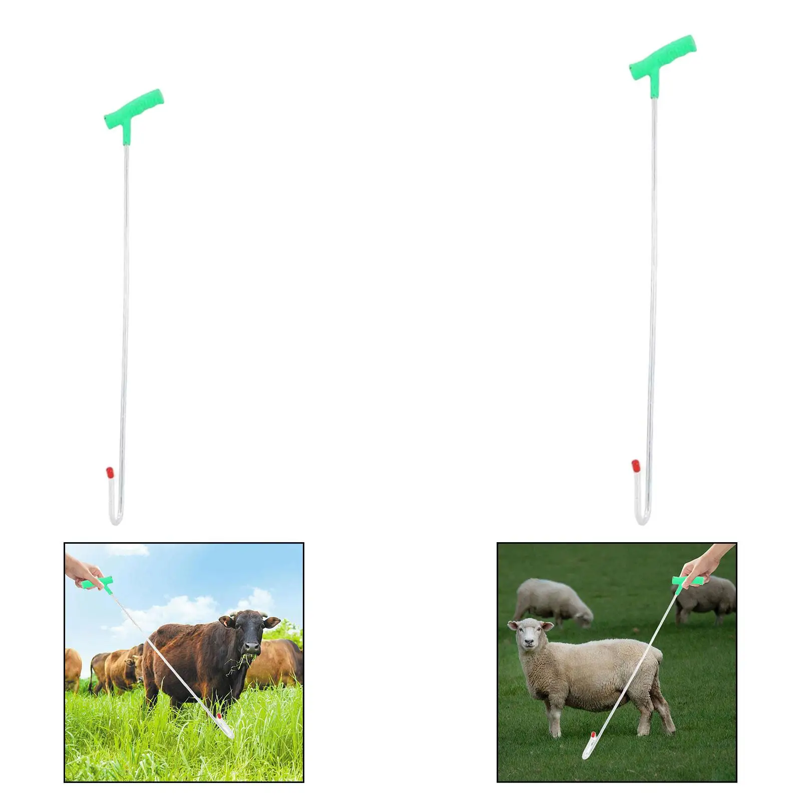 Sheep Catcher Hook,Goat Grabber Comfortable Grip Leg Crook Catching Tool for Breeding Farms Handling Supplies Garden