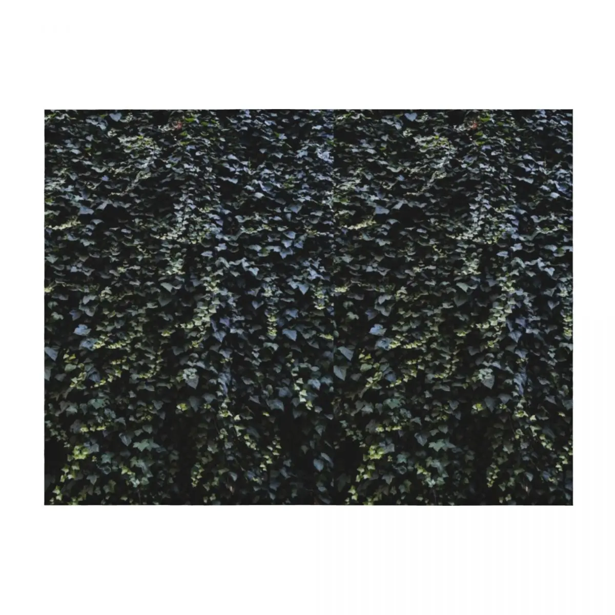 

Dark Green English Ivy Wall Background Throw Blanket Decorative Beds Furry Luxury Throw blankets ands Blankets