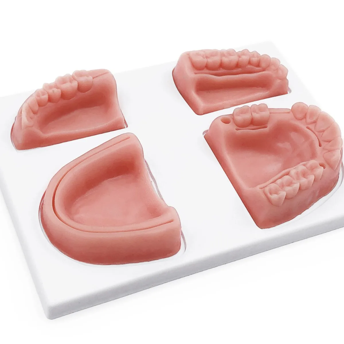 Four-tooth tooth suturing practice module, suturing exercise kit, anatomical model, oral model, oral head model, export