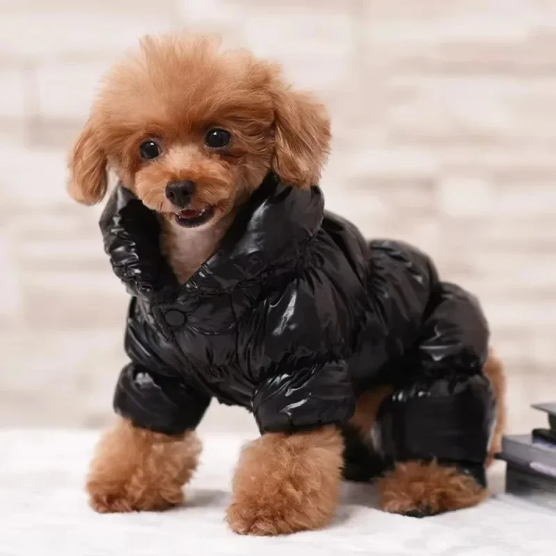 Waterproof Dog Winter Clothes Faux Leather Pet Down Jacket Thicken Warm Puppy Coat for Small Medium Dogs
