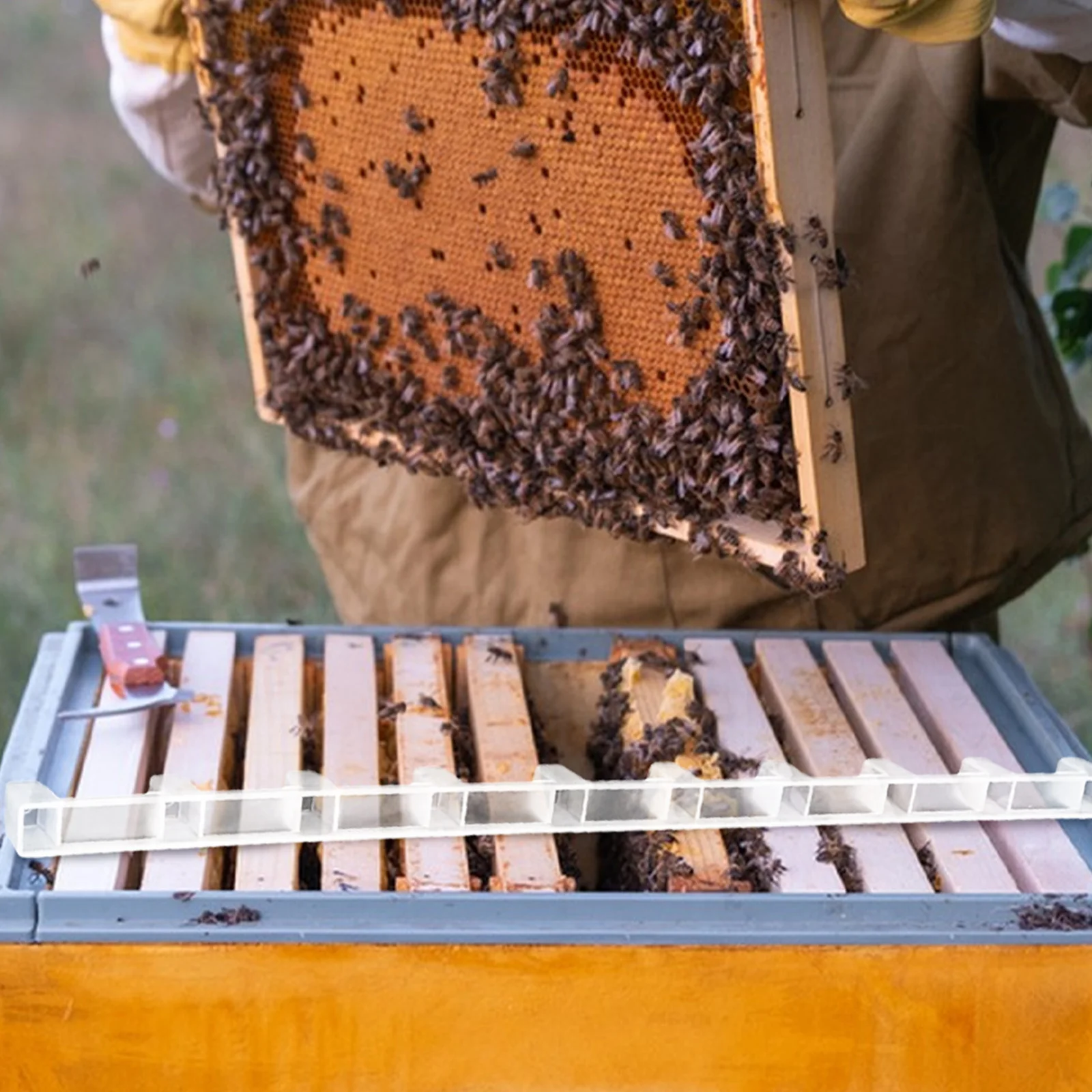 

Bee Hive Spacing Tool 10pcs Honeycomb Frame Strip Plastic Spacer Bee Nurturing Divider for Beekeeping Supply