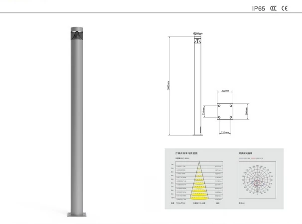 Modern CE IP65 Waterproof 30W Light LED Garden Light for Garden Villa Outdoor luminaries