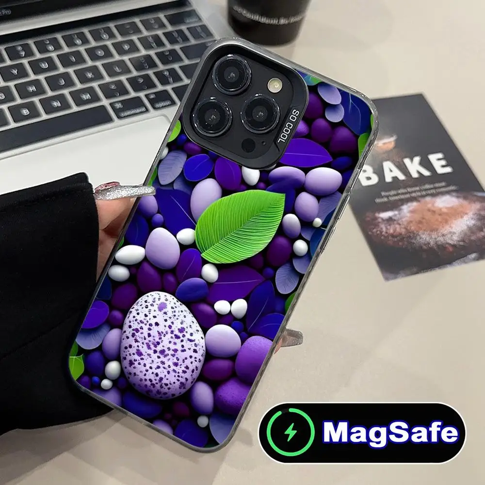 

Flowers Stones Mobile Phone Case for iPhone 17 16 15 14 13 12 11 Air Pro Max Plus MagSafe Translucent Colorful Cover Luxury