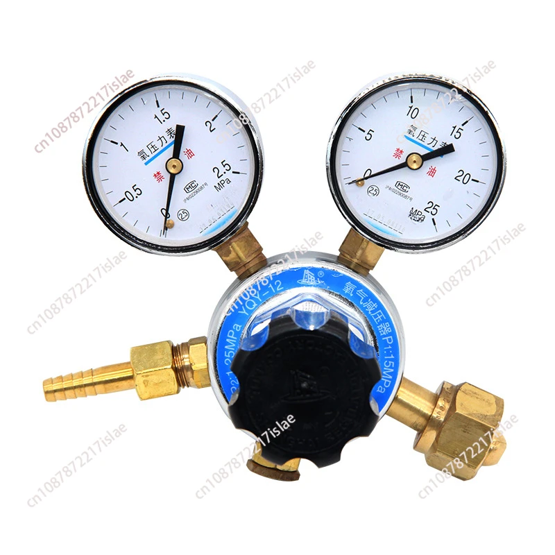 Oxygen Pressure Reducing Valve Gas Pressure Regulator YQY-12