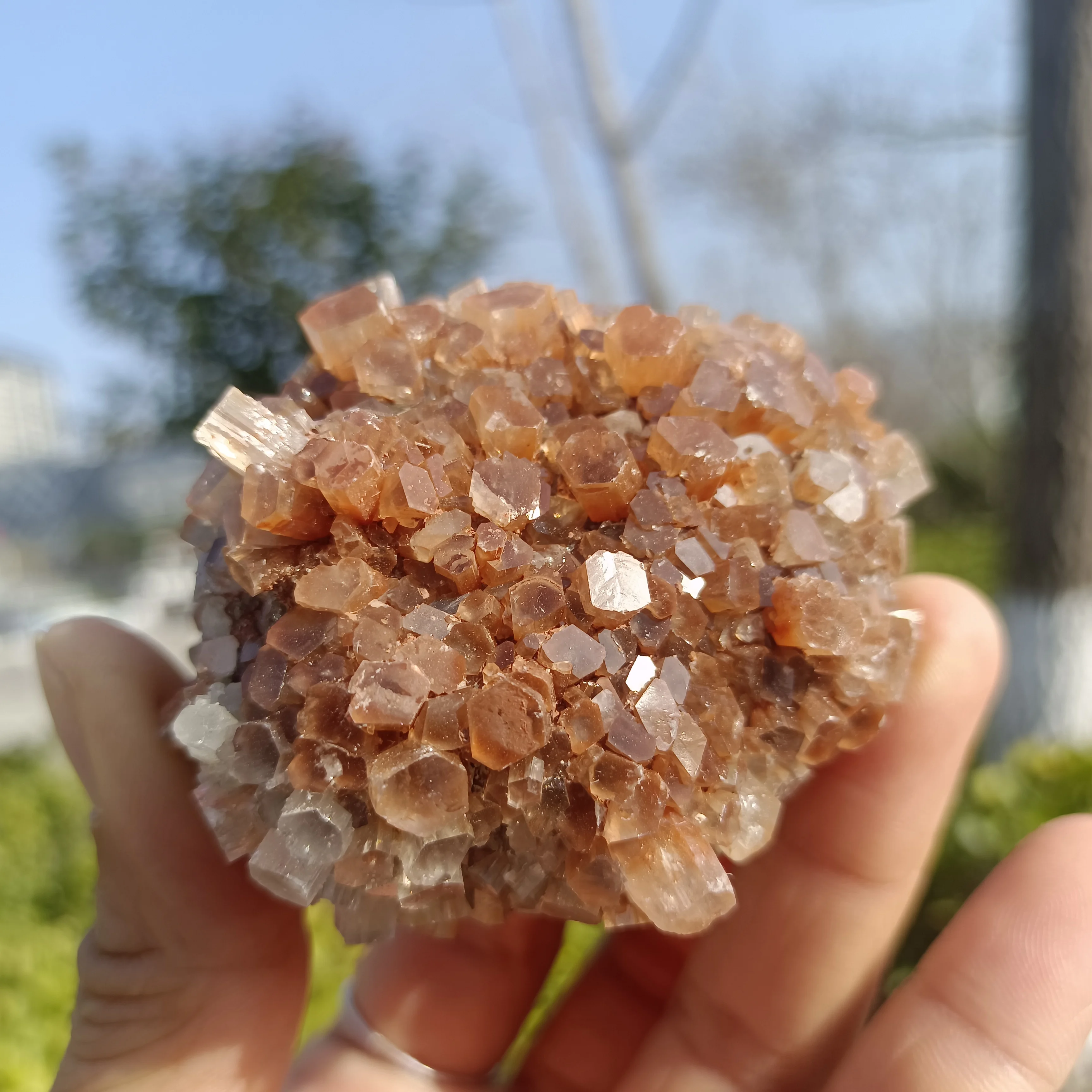 

Natural Formed!Aragonite Flower Clusters, Quartz Crystal Ore Clusters, Minerals, Reiki, Healing, Collection