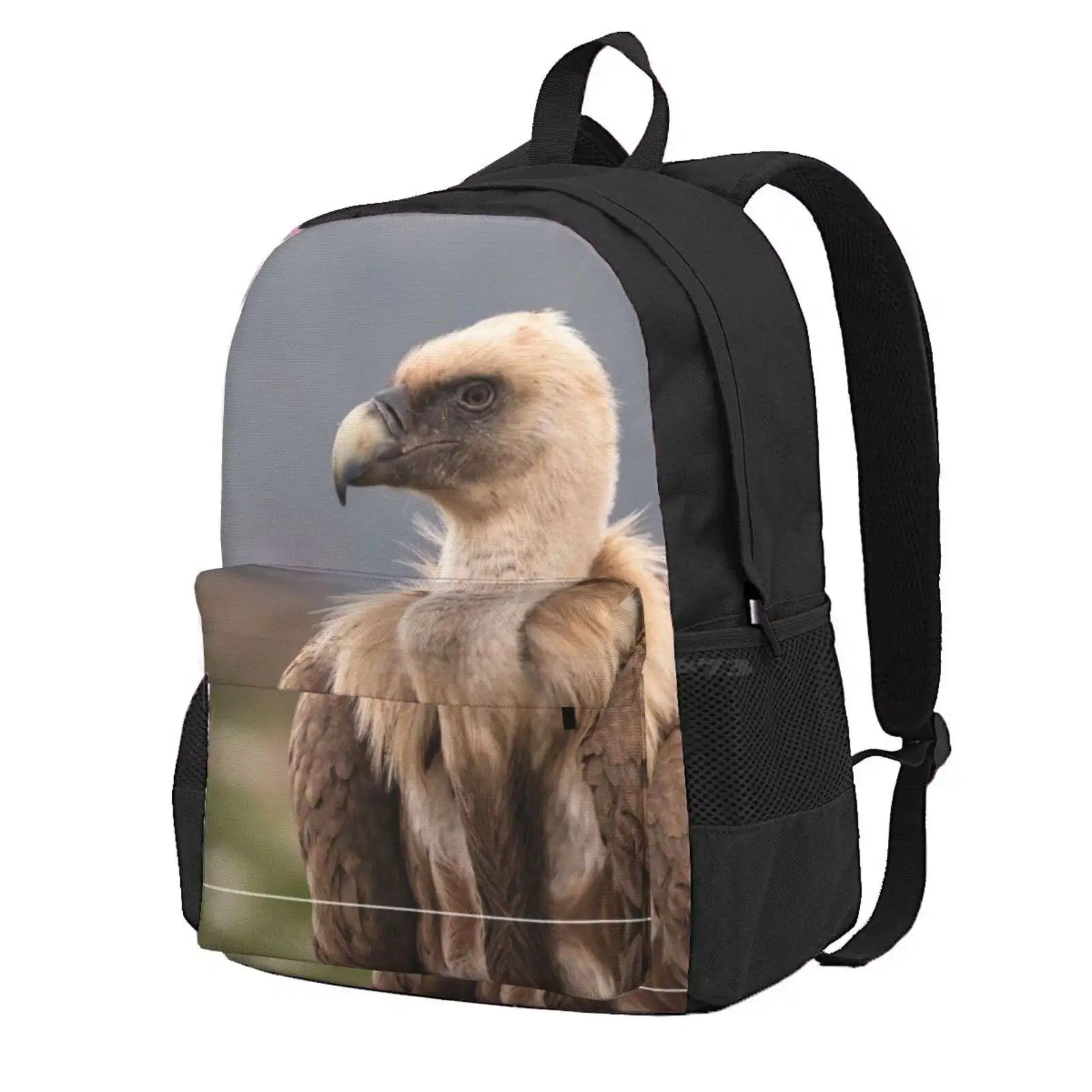 Griffon Vulture Hot Sale Schoolbag Backpack Fashion Bags Griffon Vulture Bird Of Prey Raptor Nature Wildlife