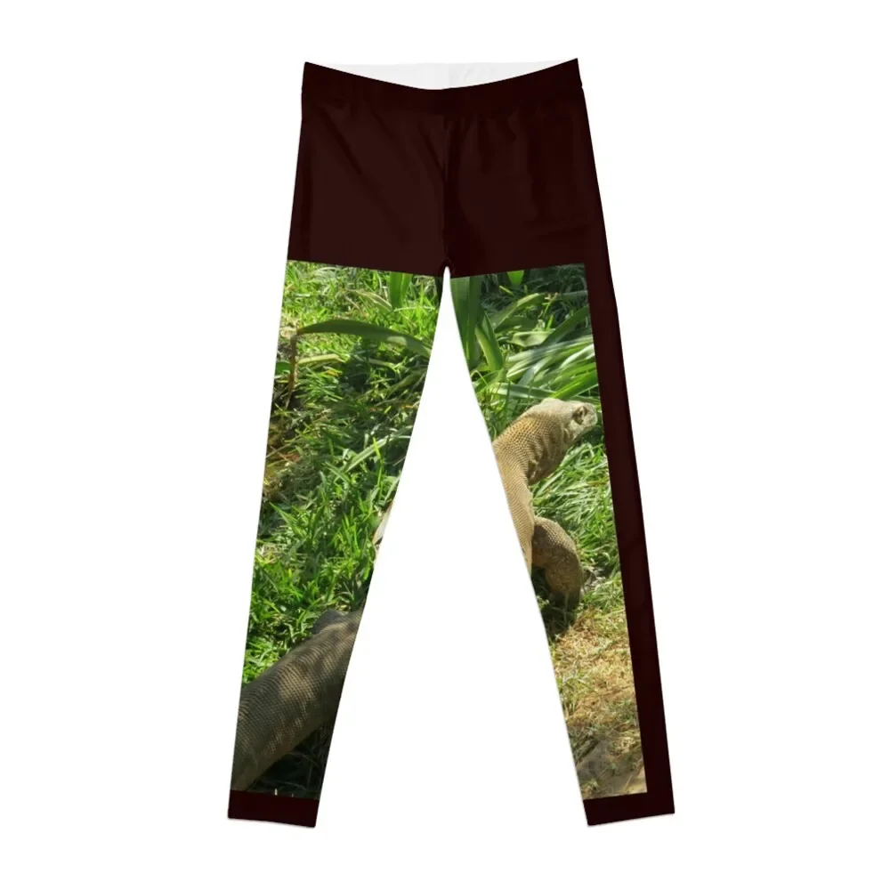 

Komodo Dragon Shirt And Acessories. Leggings high waist sportswear for gym leggins push up woman Womens Leggings
