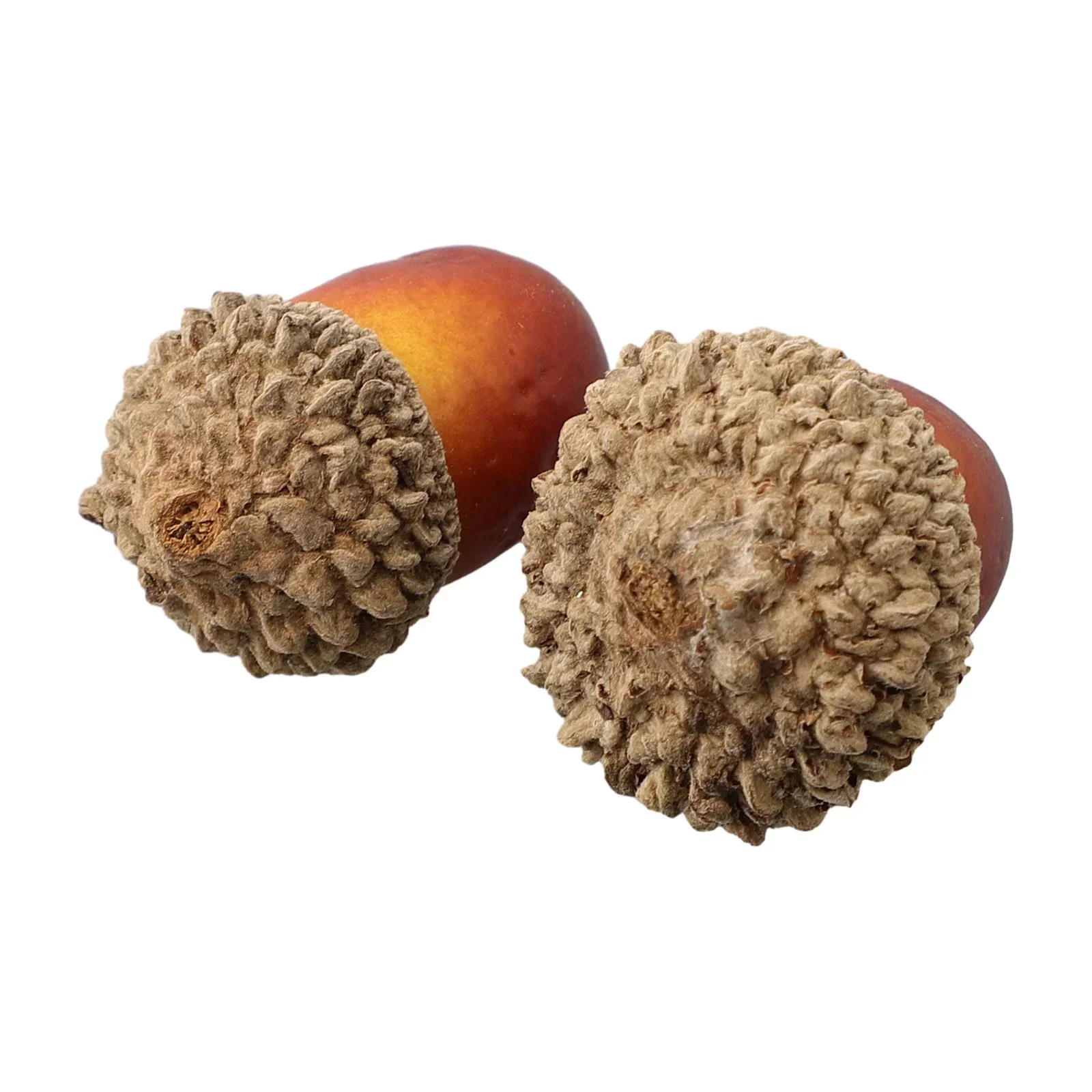 50pcs Halloween Artificial Fake Acorn Decorations Harvest Props For Harvest Festival Faux Fall Autumn Decor Foam